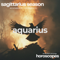AQUARIUS Horoscope for Sagittarius Season (November 21-December 21, 2024)