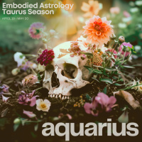 AQUARIUS Horoscope for Taurus Season (April 19-May 20, 2024)