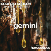  ♊ GEMINI ♊ Be Conscious Of Your Choices - SCORPIO SEASON 2025 MONTHLY HOROSCOPE