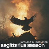 Endings are Beginnings: Embodied Astrology for 2024 into 2025 (Sagittarius amp Capricorn Seasons Nov. 21-Jan. 19)