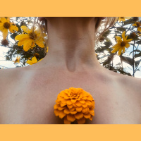 Living Your Best Life - A guided somatic movement meditation 