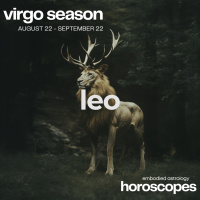 LEO Horoscope for Virgo Season (August 22 - September 22, 2024)