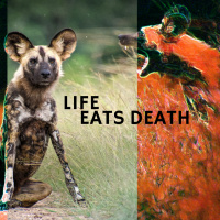 LIFE EATS DEATH - A Mercury Retrograde Special Episode with Rose Blakelock amp Renee Sills