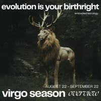 Evolution is Your Birthright: Embodied Astrology for Virgo Season (August 22-September 22, 2024)