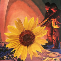 Glow Time- Embodied Astrology for Leo Season (July 22 - August 22, 2019)