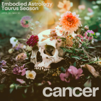 CANCER Horoscope for Taurus Season (April 19-May 20, 2024)
