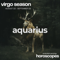 AQUARIUS Horoscope for Virgo Season (August 22 - September 22, 2024)