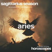 ARIES Horoscope for Sagittarius Season (November 21-December 21, 2024)