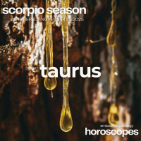  ♉ TAURUS ♉ Being A Friend To Yourself - SCORPIO SEASON 2025 MONTHLY HOROSCOPE