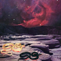 Leo Horoscope for Scorpio Season (October 23 - November 22, 2019)