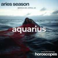 AQUARIUS Aries Season Horoscope (March 20-April 19, 2025)