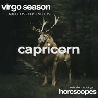 CAPRICORN Horoscope for Virgo Season (August 22 - September 22, 2024)