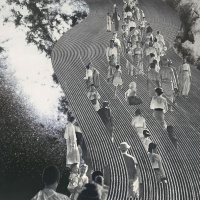 Taurus Horoscope for Aquarius Season (January 20, 2020 - February 19, 2020)