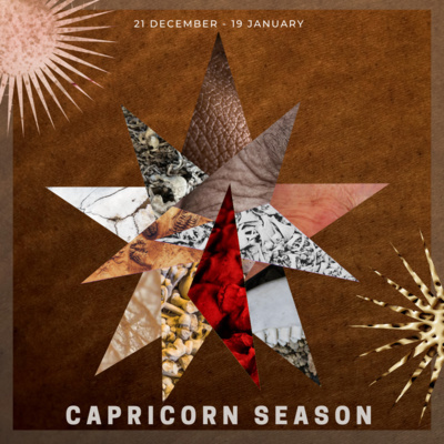 Embodied Astrology With Renee Sills