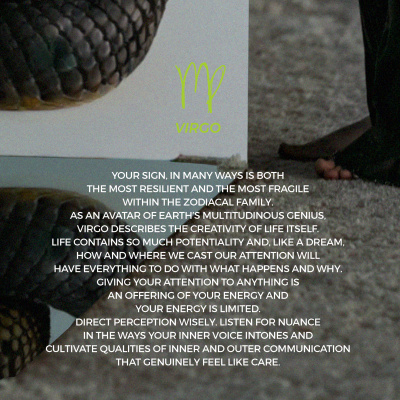 Embodied Astrology With Renee Sills