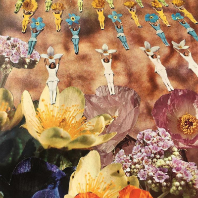 Embodied Astrology With Renee Sills