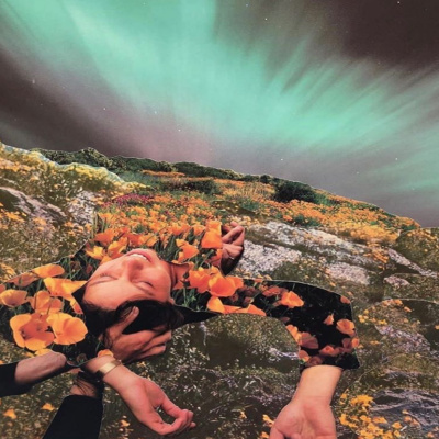 Embodied Astrology With Renee Sills