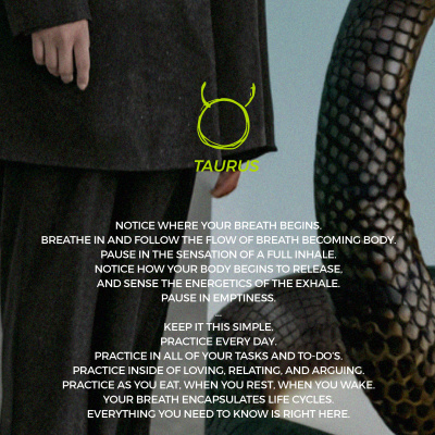 Embodied Astrology With Renee Sills