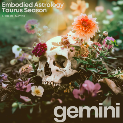 Embodied Astrology With Renee Sills