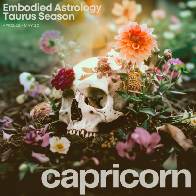 Embodied Astrology With Renee Sills