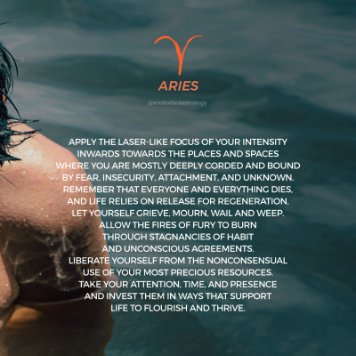 Embodied Astrology With Renee Sills