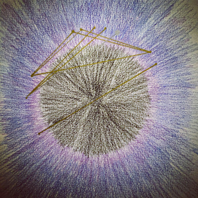 Embodied Astrology With Renee Sills