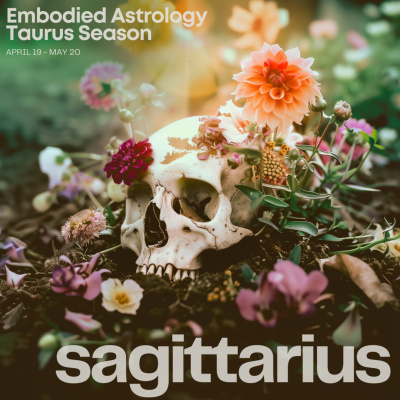 Embodied Astrology With Renee Sills