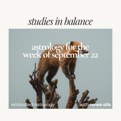 Embodied Astrology With Renee Sills