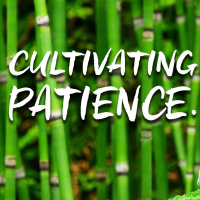 Becoming Aware of Your Impatience amp Finding an Opportunity to Cultivate Patience Today