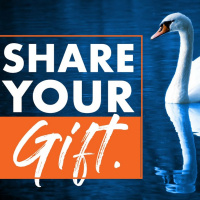 Focus on Giving Your Gift and the Money Will Almost Take Care of Itself