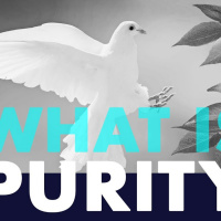 What is Purity and How Does it Relate to Being a Genius?