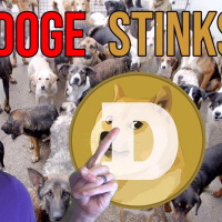 Dogecoin DOGE is the WORST Top 10 Crypto to Buy! Honest Altcoin Review and Price Prediction!
