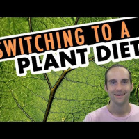 Top 10 Plant Based Diet Switch Success Tips to Stay Committed