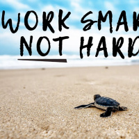 Want to Maximize Your Gift Giving to the World? Work Smarter, Not Harder!