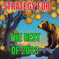 Finish the Crypto Bear Market Strong! My Strategy for the Rest of 2023 in Bitcoin and Altcoins