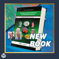 247: From Pitfalls to Potential - Making the Most of Seismic Attributes