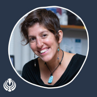 233: Unveiling the Earths Critical Zone through a Geophysics Lens