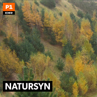 Natursyn: Det sidste pip 2017-07-31