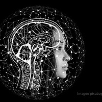 3 pilares de una buena salud cerebral y educativa