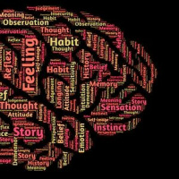 ¿Cómo reacciona el cerebro de un niño ante la narración de un cuento?