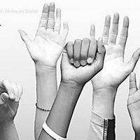 ¿Realmente somos una democracia participativa?