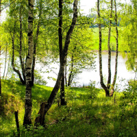 Jag blir kåt av naturen