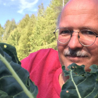 Jag vill genmodifiera din mat