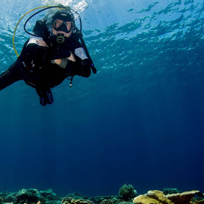 Fråga Vad Du Vill I P3