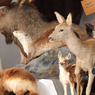 Fråga Vad Du Vill I P3