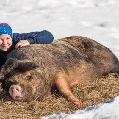 Fråga Vad Du Vill I P3