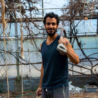 Fråga Vad Du Vill I P3