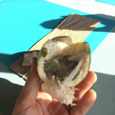 Erikas Och Sofias Äventyr I Costa Rica