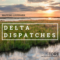 Mapping Louisiana
