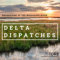 Engineering of the Mississippi River